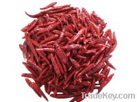 Sell red chili
