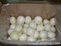Sell fresh peeled onion