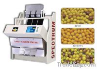 Red Lentils Sorter