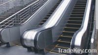 Sell traffic escalator with exteral cladding