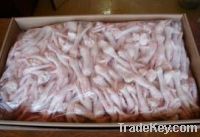 Export Chicken Paw | Chicken Feet Suppliers | Poultry Feet Exporters | Chicken Feets Traders | Processed Chicken Paw Buyers | Frozen Poultry Paw Wholesalers | Low Price Freeze Chicken Paw | Best Buy Chicken Paw | Buy Chicken Paw | Import Chicken Paw | Chi