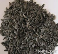Sell Oil Sunflower Seed 233