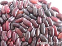 Sell Red Kidney Bean