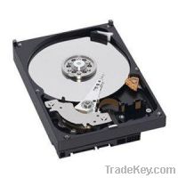 WESTERN DIGITAL HARD DRIVE