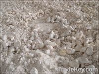 Sell Caustic Calcined Magnesite with cheap price