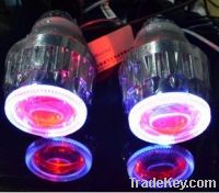 Sell Bi-Xenon HID Projector with red demon eye