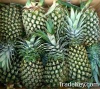 Sell fresh pineapples