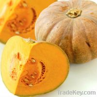 Sell fresh pumpkin