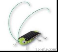 solar grasshopper