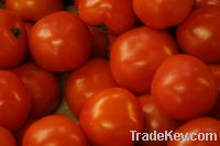 Sell Tomatoes