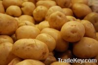 Sell Potatoes