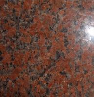 Sell granite G562 maple red