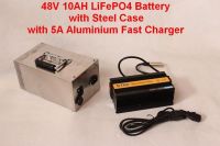 48V 10AH LiFePO4 Battery with Steel Case, BMS and Charger