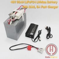 LiFePO4 Battery 48V 25AH(with BMS, Fast Charger and Bag)
