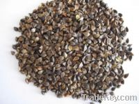 Sell  buckwheat