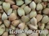 Sell Hulled  Buckwheat  Kernel/groat