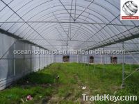 Welded Steel Pipe for Greenhouse