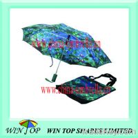 Sell 3 fold oil painting umbrella with carrying bag