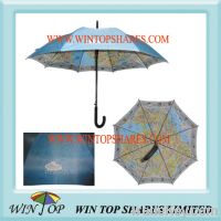 Sell double layers promotion map umbrella