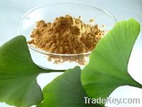Sell Ginkgo Leaf extract /Ginkgo Biloba Extract