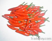 Sell Capsicum frutescens L. Extract