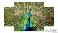 Sell Peacock Canvas Print