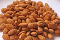 High Quality Organic Raw Almonds Nuts and Kernel Competitive Price