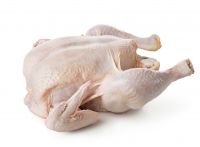 GRADE A HALAL CERTIFIED FROZEN WHOLE CHICKEN READY FOR SHIPMENT.