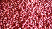 Goods Quality Best Quality Peanuts Inshell and without shell