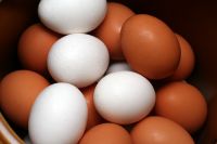 HOT SALE FARM FRESH CHICKEN TABLE EGGS FERTILE/ HATCHING CHICKEN EGG/ BROILER