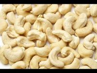 Wholesale price cashew nut kernels w320