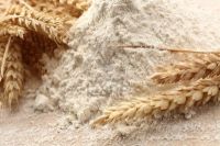 Wheat flour for sale in bulk