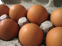 QUALITY CHICKEN EGGS AT CHEAP PRICE/ FRESH BROWN EGGS