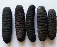 dried sea cucumber Supplier