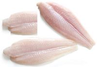 Wholesale price frozen sardine fish