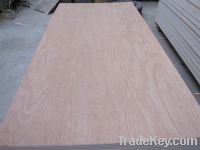 Sell packing plywood