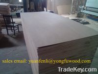 Commercial Plywood Construction Plywood Fancy Plywood