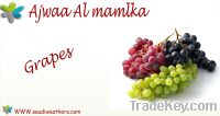 Sell fresh grapes