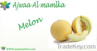 Sell fresh melon