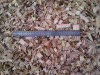 Sale of  Eucalyptus, Pine, Beech, Larch, Rubber , Acacia wood chips