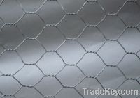 Sell Hexagonal Wire Mesh