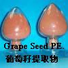 Sell Grape seed extract