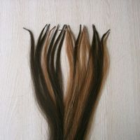 Sell Top quality Human hair extension from  WWW AOKSEEK COM!