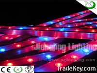 Sell waterproof argriculture led grow light for greenhouse
