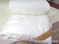 Sell winter cotton quilt supplier