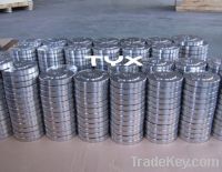 EN1092-1 Flange