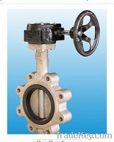 Lt-Type Worm-Wide Stainless Steel Pin Butterfly Valve