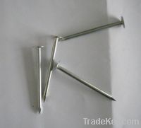 Sell Common wire nails