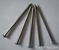 Sell common round wire nails