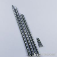 Common nails(manufactuer)